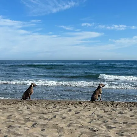 Apartamento-duplex De Lujo En Marbella, Dunas De Artola * Marbella